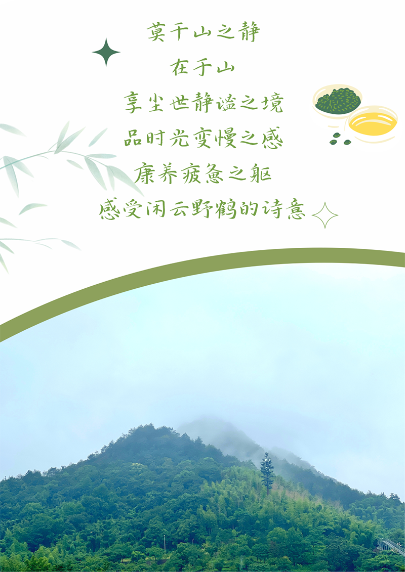 心心念廿 相伴维多利亚老品牌vic | 与德清相约 贺廿载诞辰